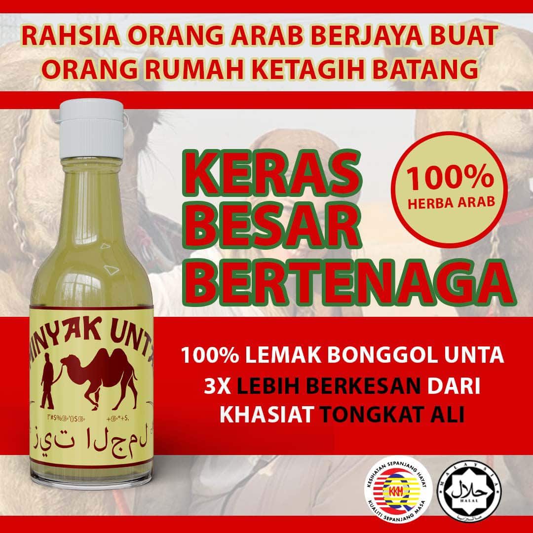 Minyak Raja Unta Original Dari Tanah Arab